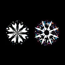 Hearts & Arrows pattern seen through a diamond scope: the hearts view and the arrows view